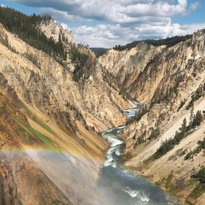 Meet your Posher, Mr. Mullet